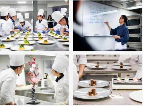 学西餐也可以出国留学,王森教育集团带您融入行业高端圈层