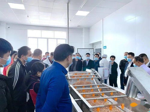 高州食品集团又一力作 果乡花生油厂 正式投产,滴滴纯正