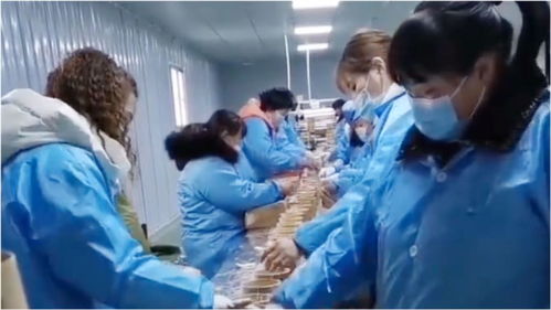 酸辣粉食品加工厂员工不带 头套手套 网友 起码戴口罩了