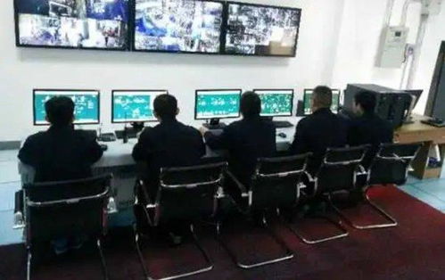 双乐股份 以绿色工厂与核心产品引领行业发展