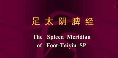 高级催乳师必学穴位 大包穴